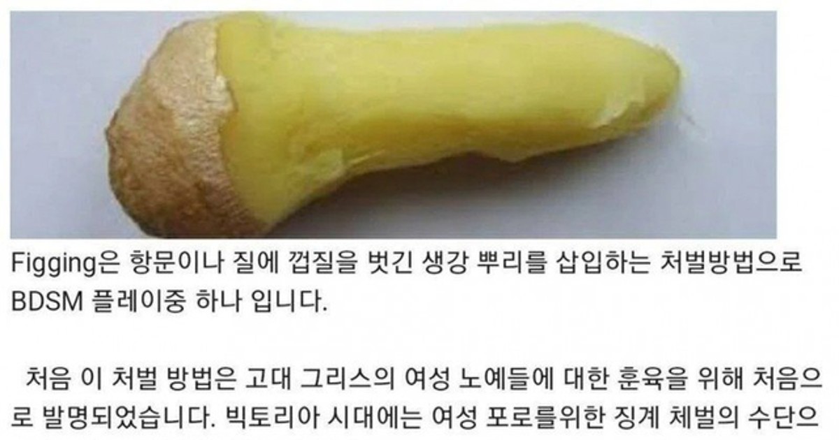 고대 그리스의 여노…