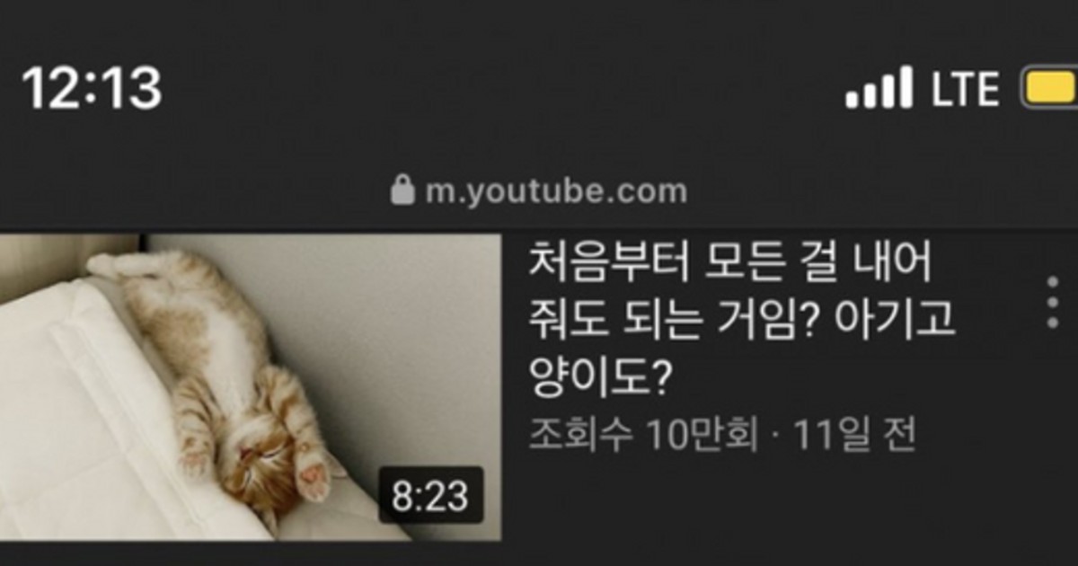 고양이 집사의 제목…