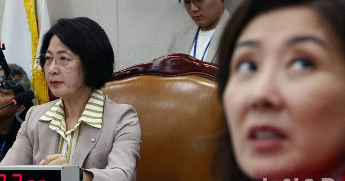 나경원 "추미애, …