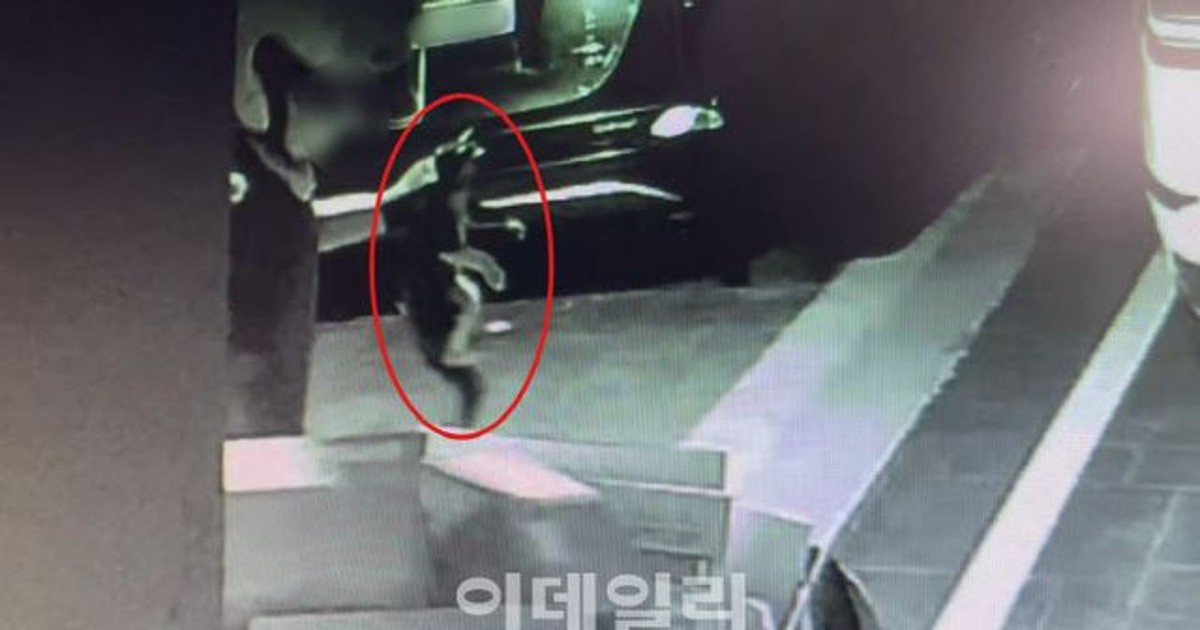 헬멧 쓴 괴한, 길…