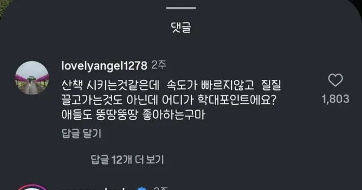 인스타에서 학대 아…