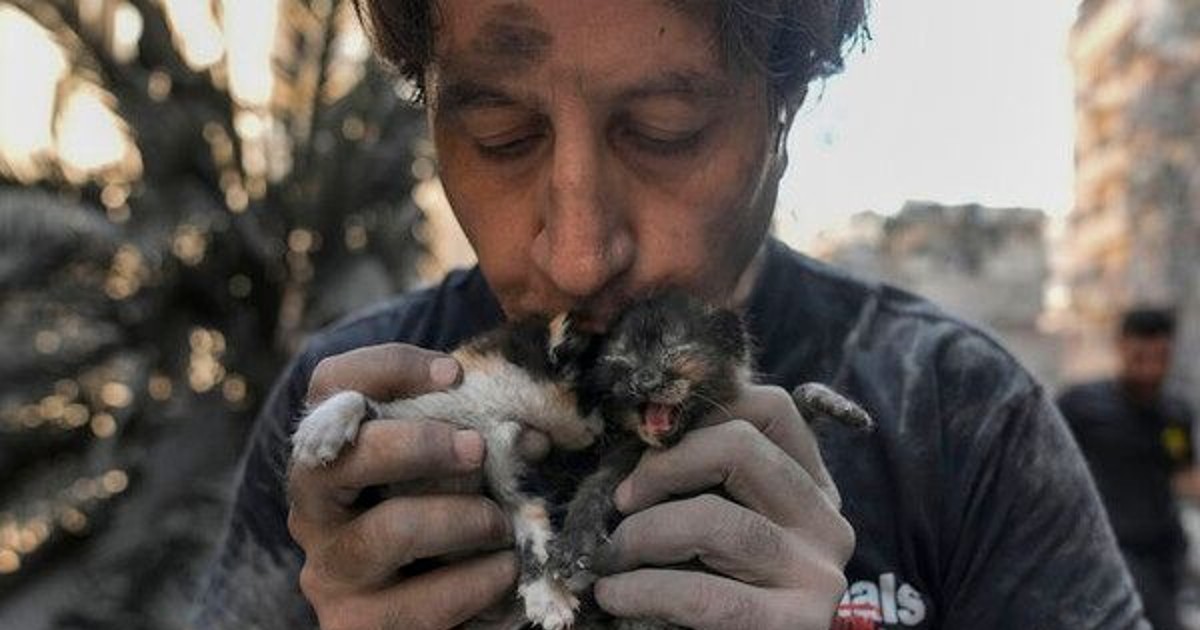 새끼 고양이를 뱀 먹이로…美 교사
