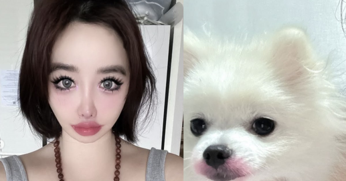 박봄, 양현석 고소…