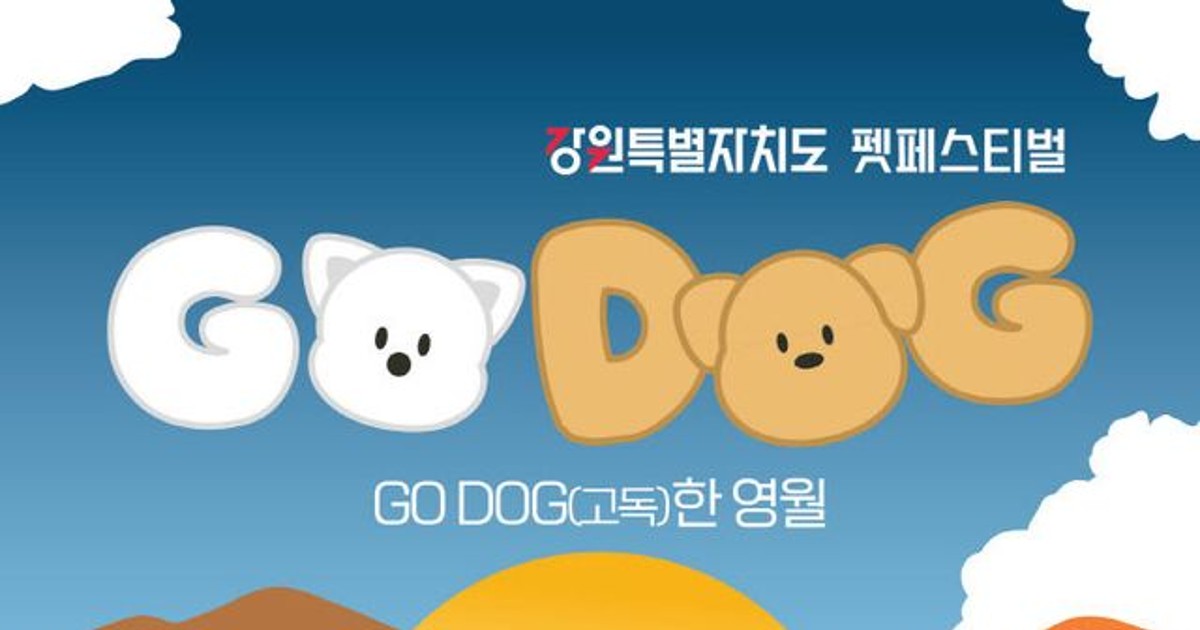 영월에서 펼쳐지는 자연 속 반려견 힐링 축제