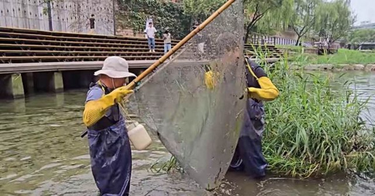 발견돼선 안 되는 …