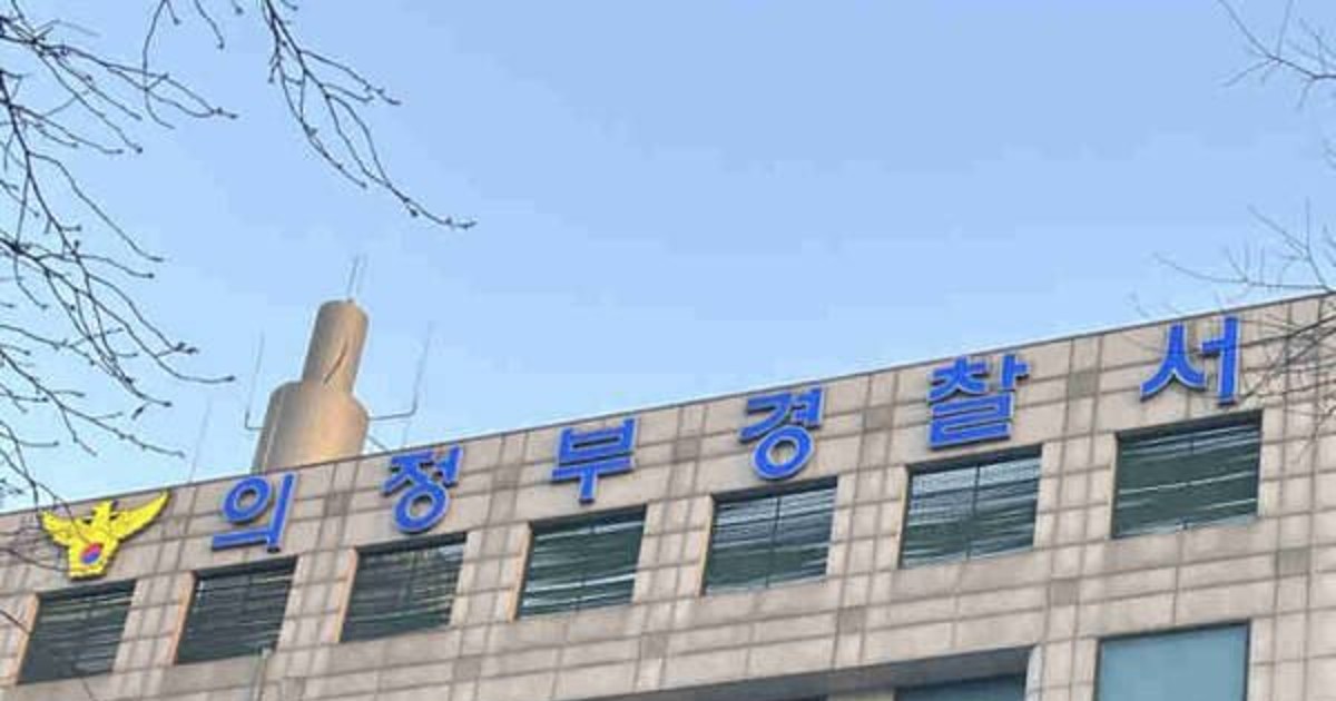 신혼부부 들이받아 …