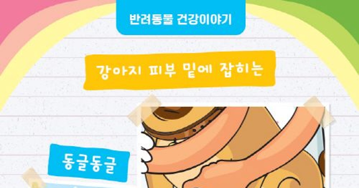 [반려동물 건강이야기] 강아지 피부 밑에 잡히는 동글동글 말랑말랑 혹...유력한 정체는 지방종!