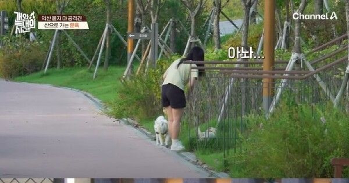 반려견 목줄 놓는 …