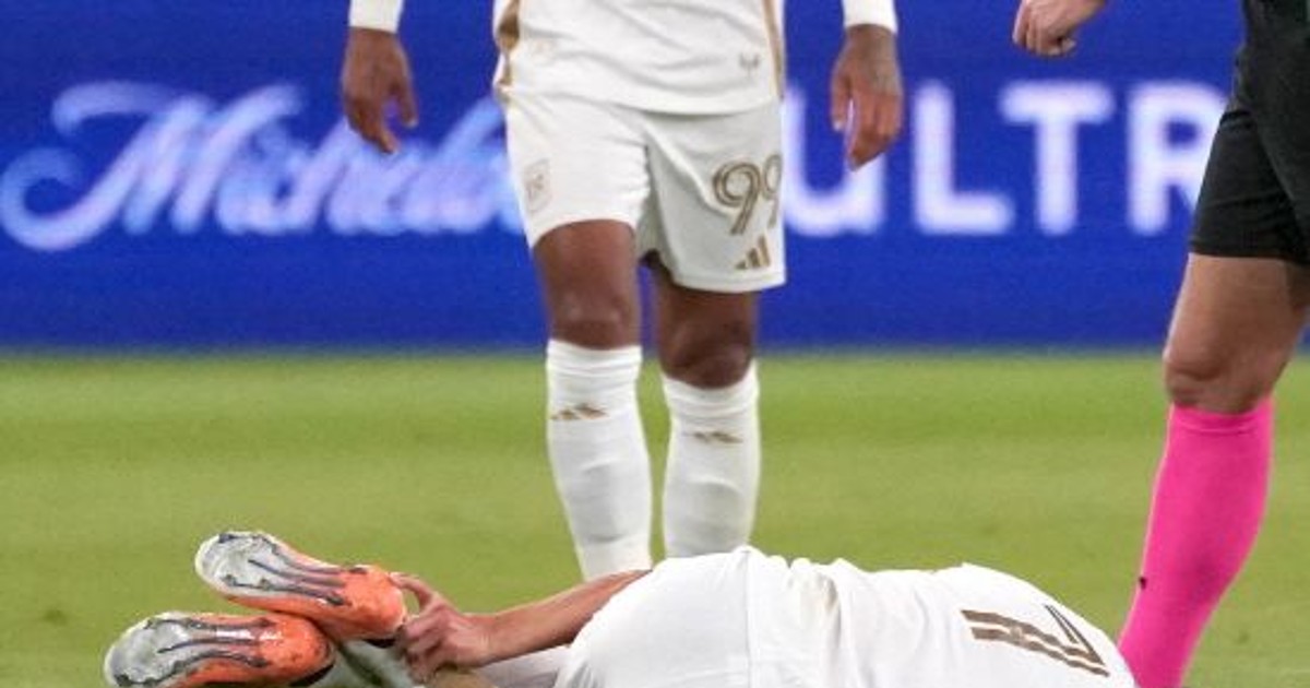 충격 백태클! 손흥…