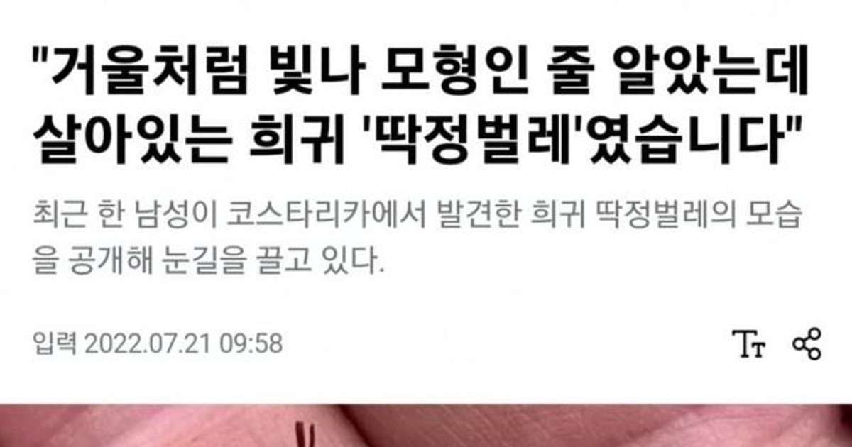 희귀딱정벌레