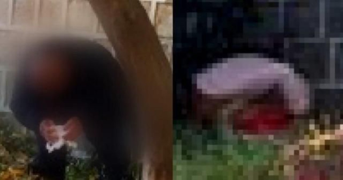 경복궁 돌담 아래서…