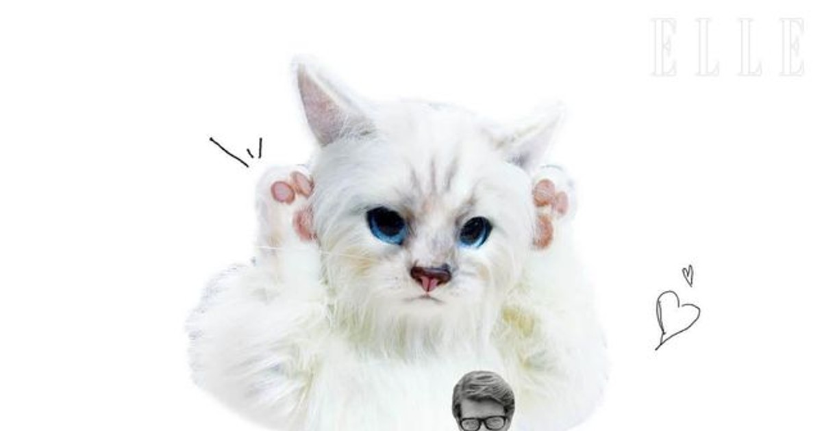 샤넬, 디올의 뮤즈…