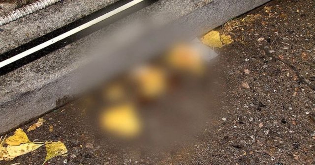 주차 시비 끝에 흉…