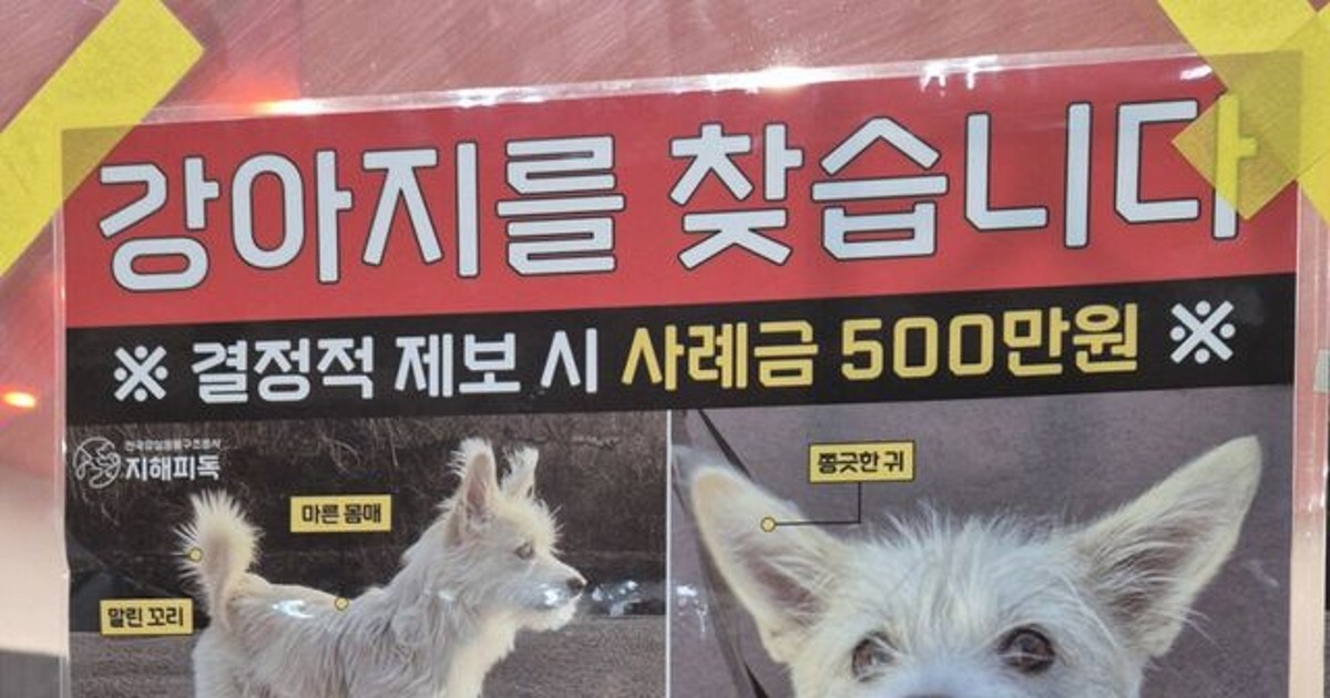 성수역에서 본 댕댕…