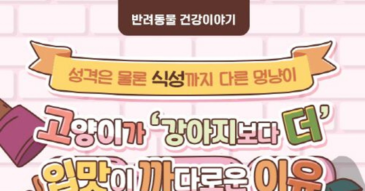 [반려동물 건강이야기] 고양이가 강아지보다 더 입맛이 까다로운 이유