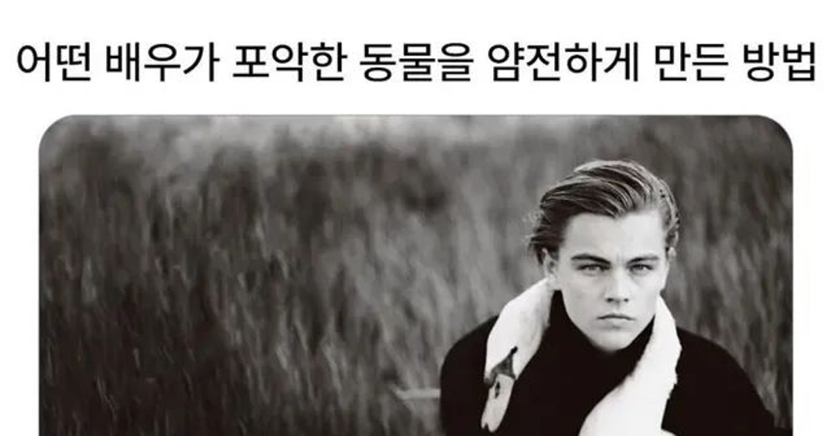 길냥이가 나만 보면…