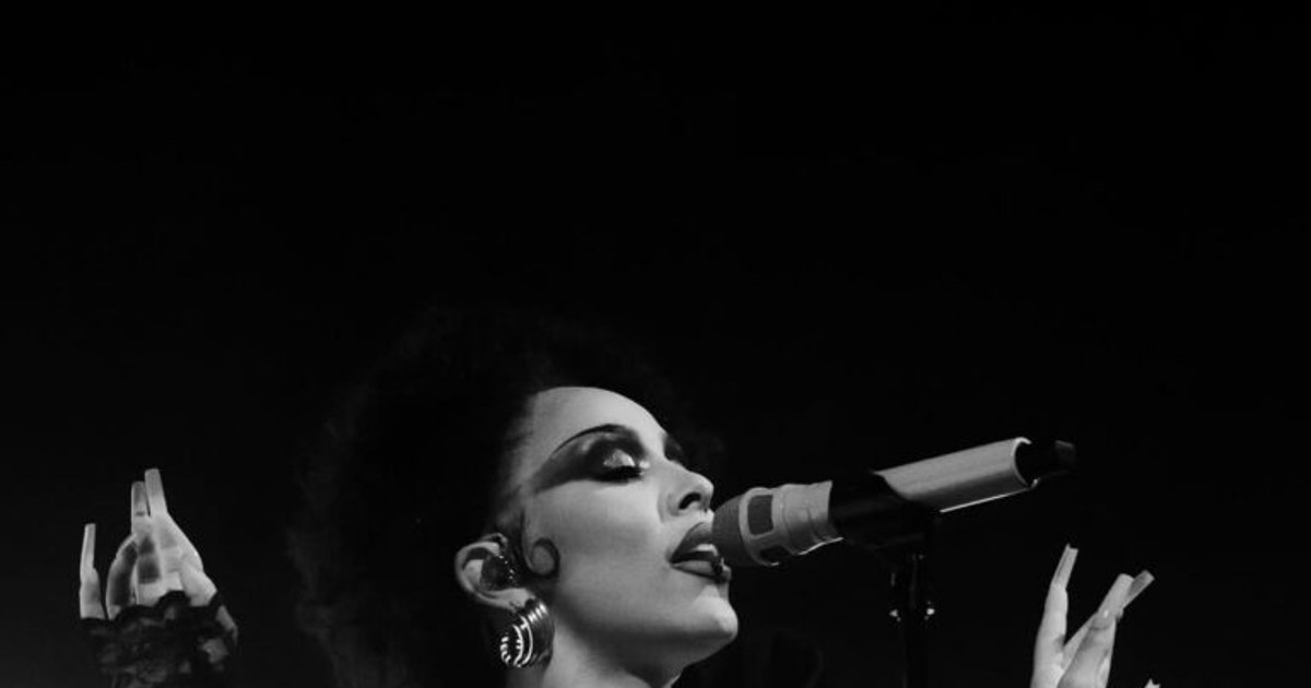 도자 캣이 온다! …