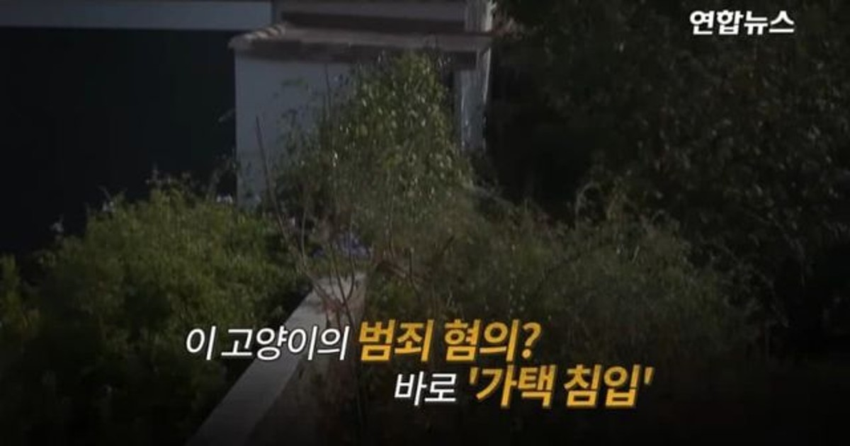 (프랑스)옆집에 침…