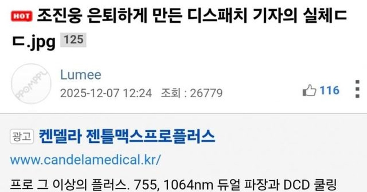 영포티 사이트 특징