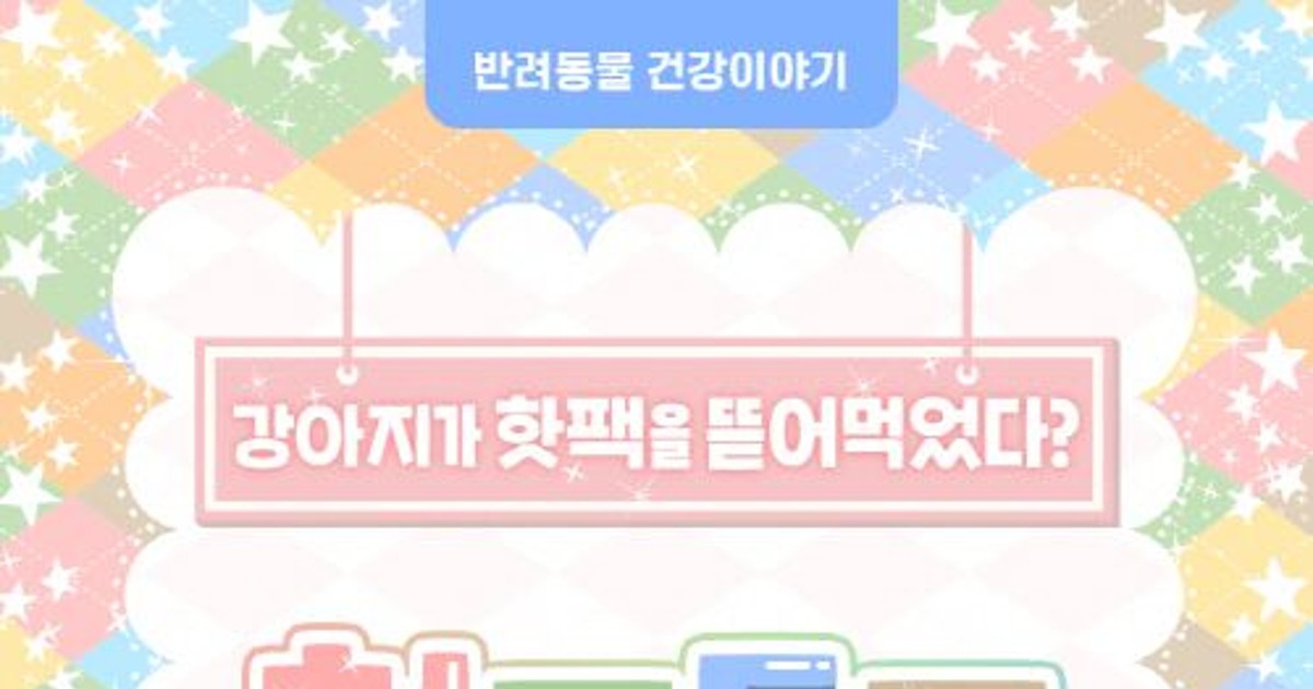 [반려동물 건강이야…