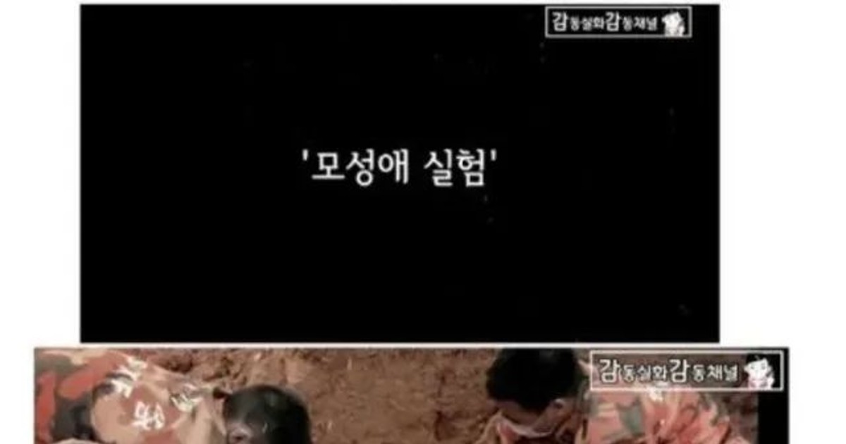 일본 731부대의 가장 끔찍한 실험