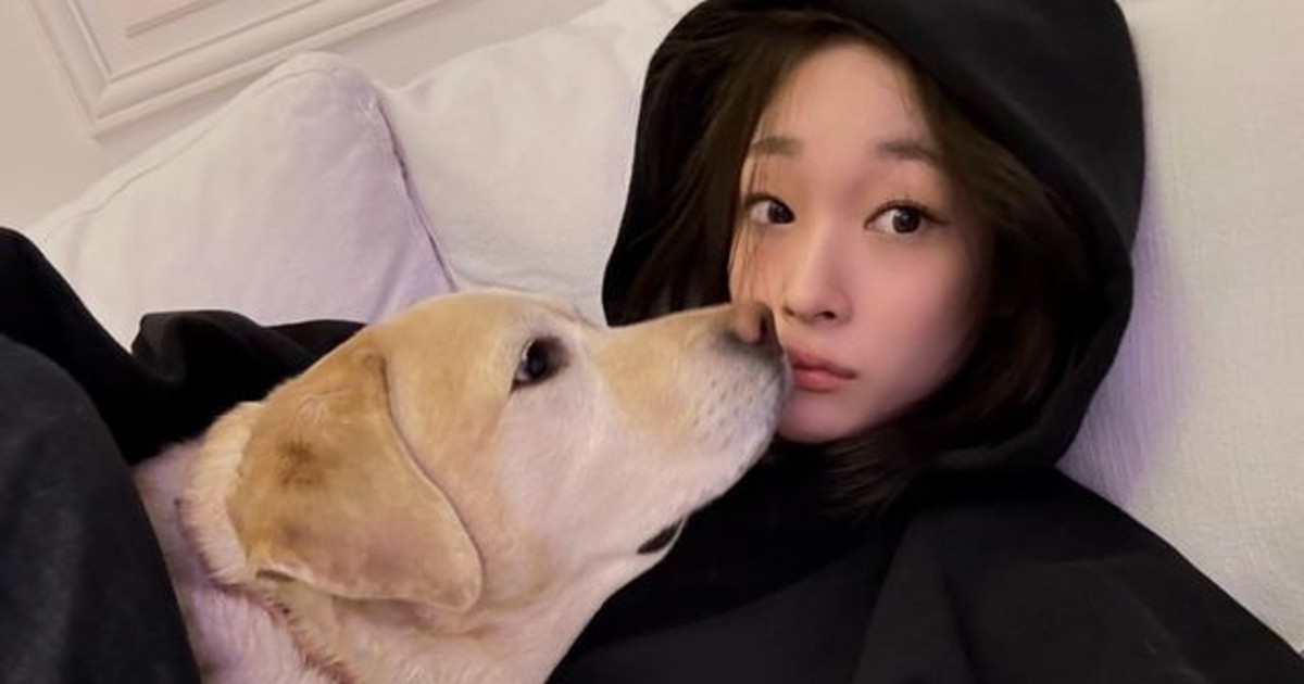 애니, 재벌가 딸 맞아? 후드 입고 반려견과 찐 일상 [IS하이컷]