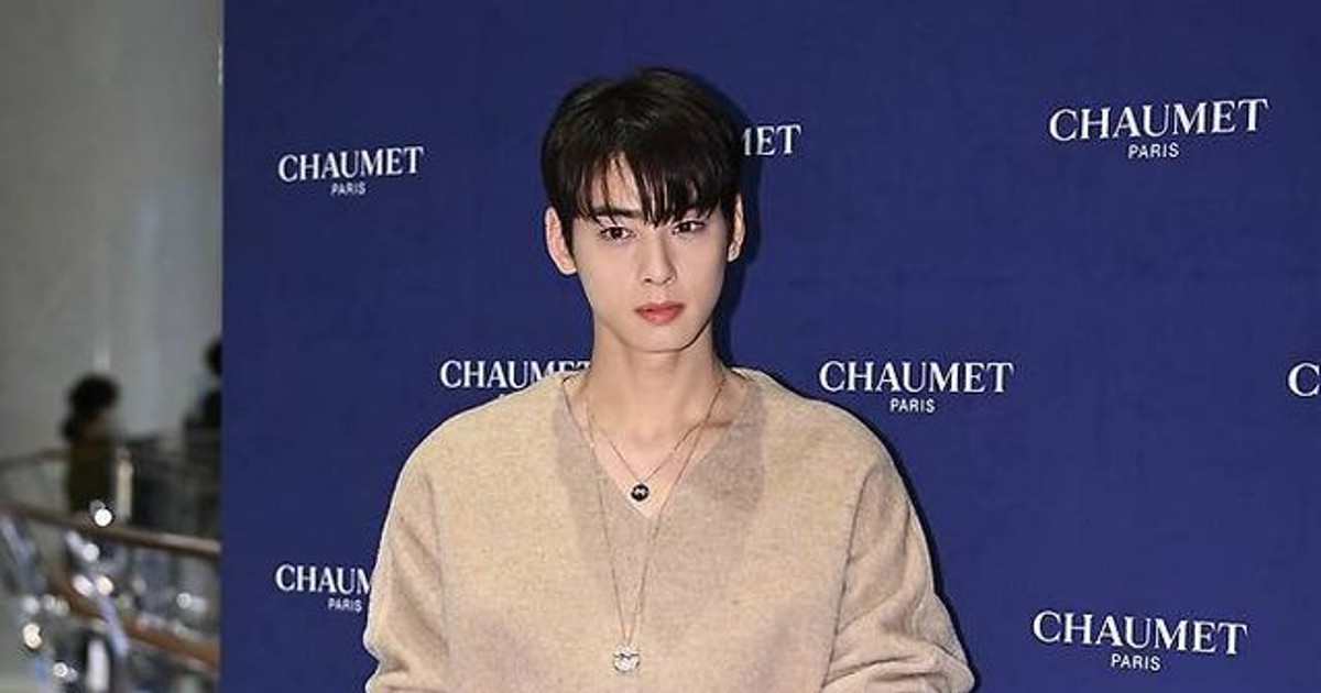 前 국세청 조사관이 본 '차은우 200억 탈세'…저승사자 조사4국, 자신 있다는 뜻 [엑's 이슈]