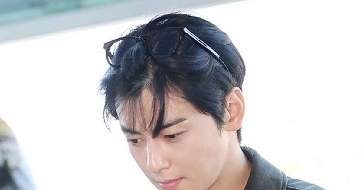 차은우, 장어집 200억 탈세 은폐 정황 뚜렷하다면?…모친도 징역 가능성 [엑's 이슈]