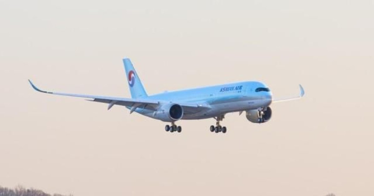 146명 태운 대한항공, 이륙 직후 긴급회항한 진짜 이유