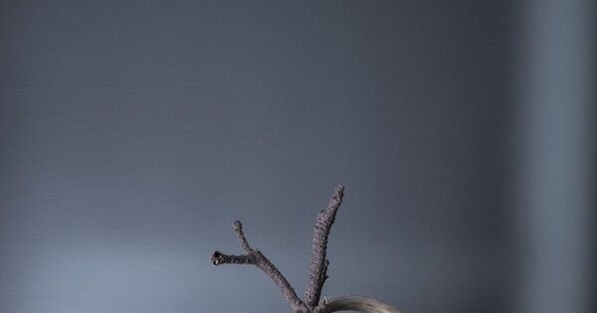 사진에 바느질을? 전시관에서 벌어진 반전