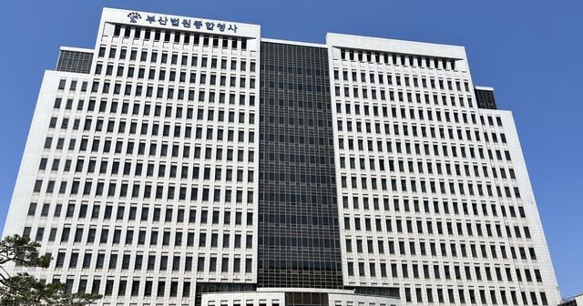 80대 언니와 내 남편의 불륜? 70대 동생의 참교육
