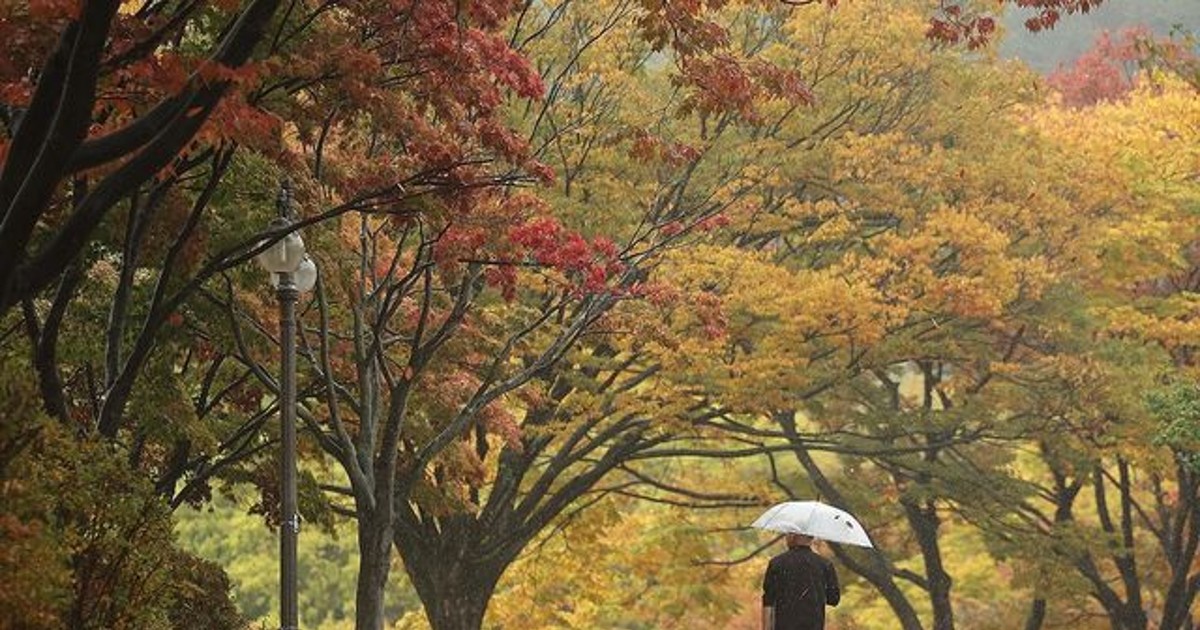 월요일 출근길 대참사? 전국 뒤집어놓은 기상 이변의 정체