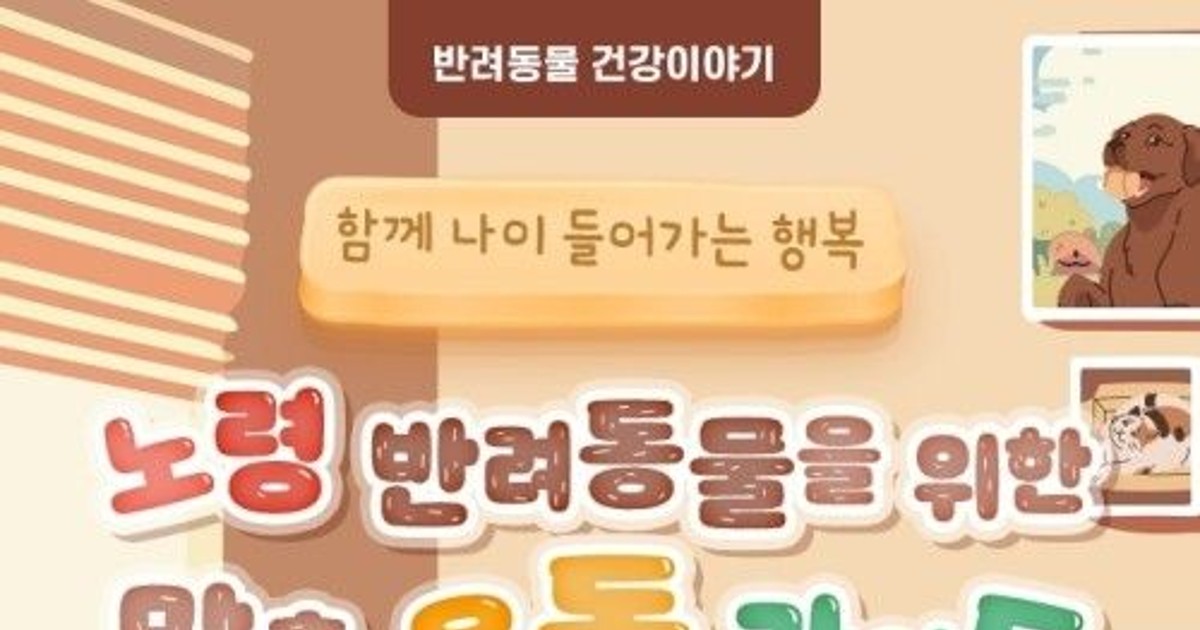 노견·노묘가 갑자기 안 움직인다면? 절대 모르면 후회할 5분